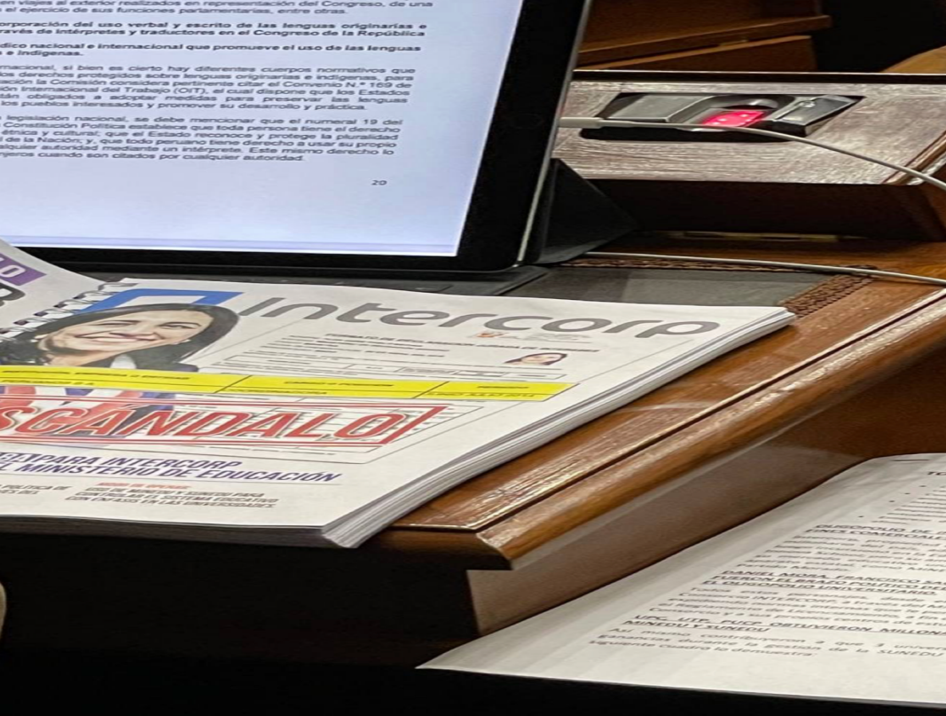 Image hover effect image