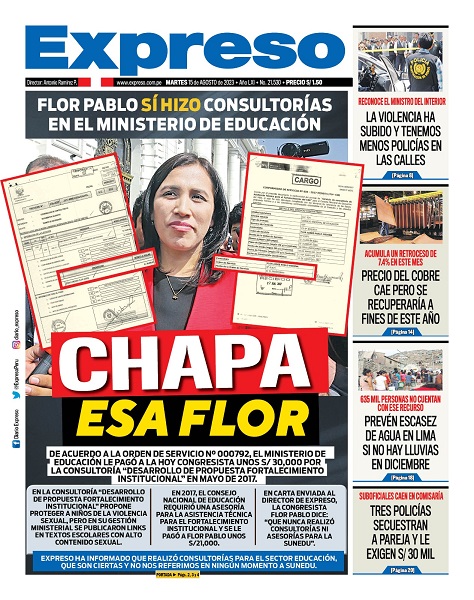 Image hover effect image