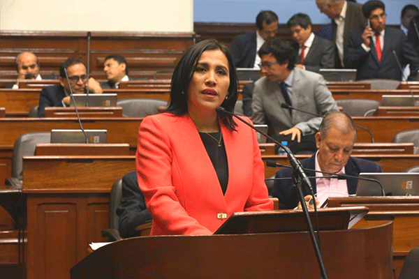 Image hover effect image